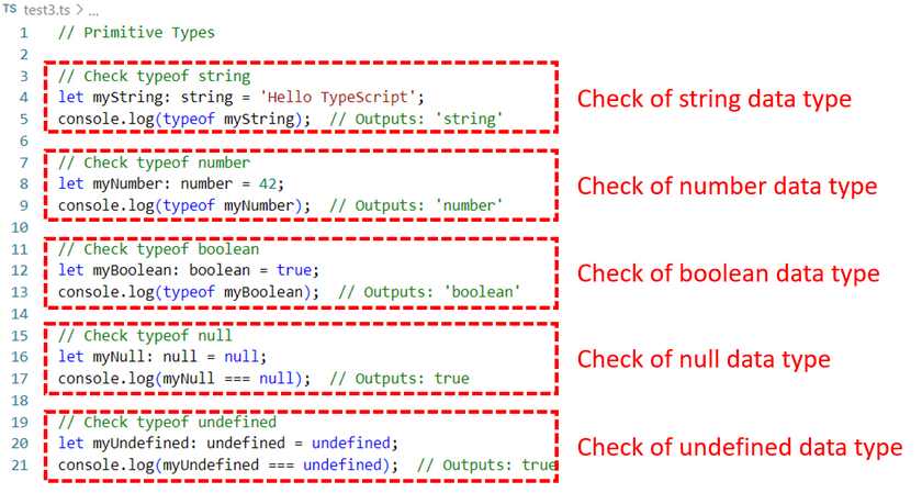 Example code for type check of primitive data types