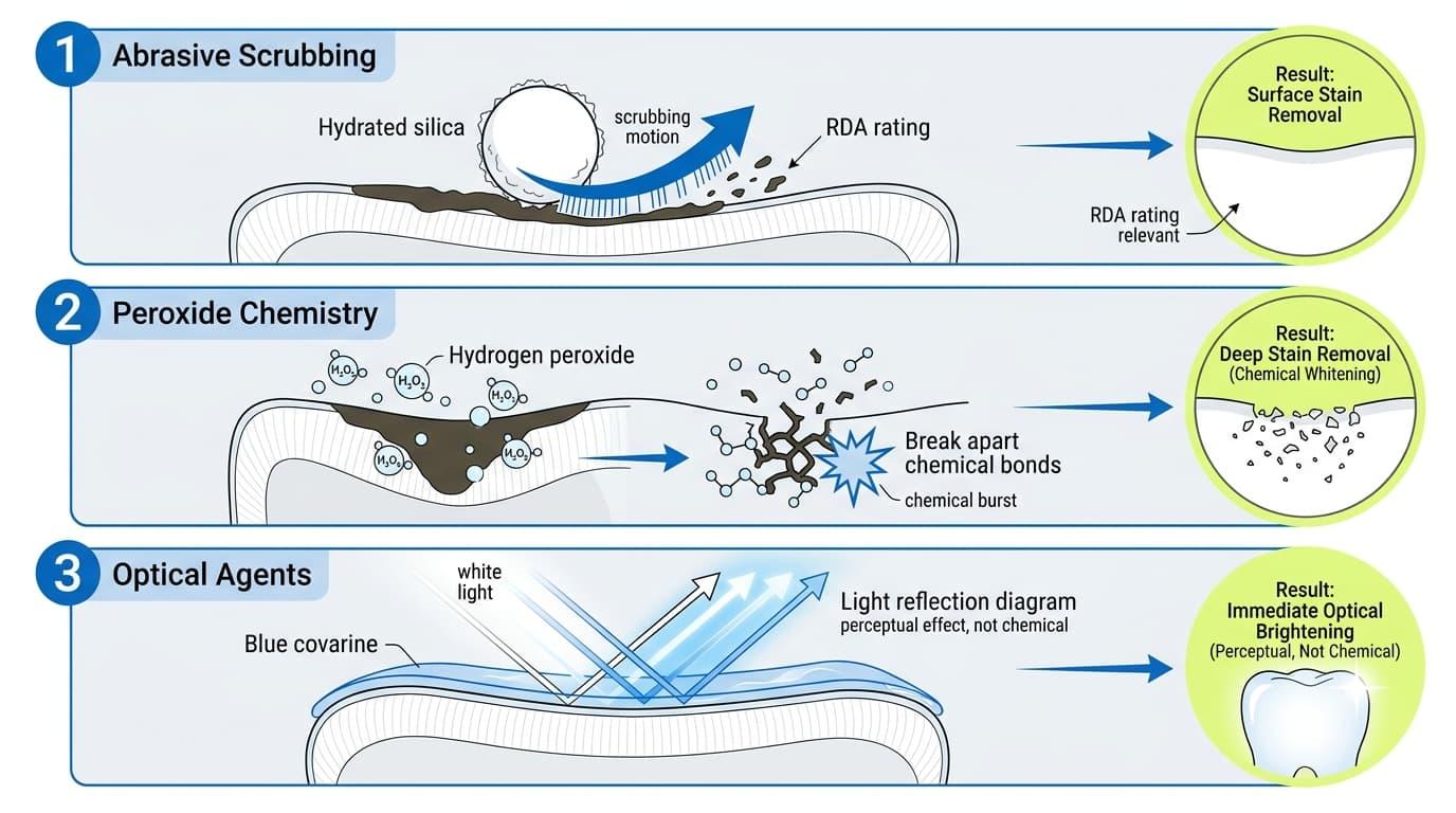 The Three Mechanisms