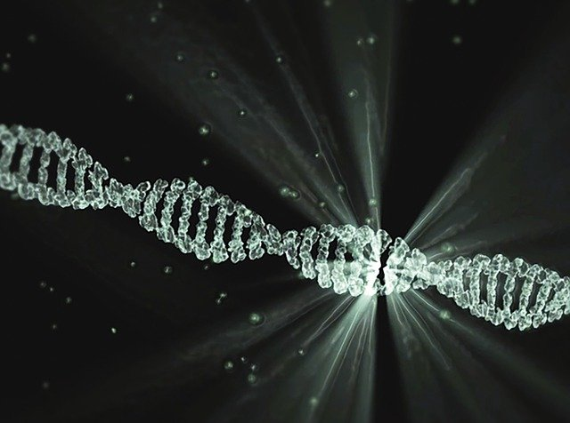 dna, project lumina, DNA, SNPs