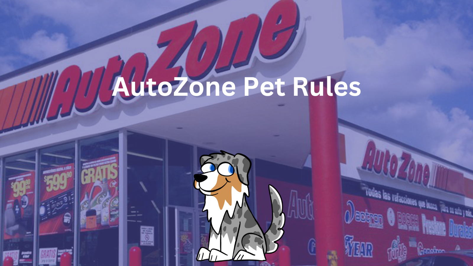 Is AutoZone dog-friendly? Rules for dogs in AutoZone