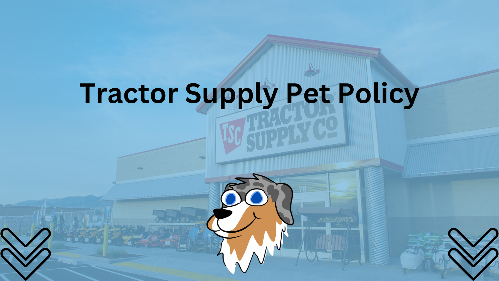 Tractor Supply Pet Policy