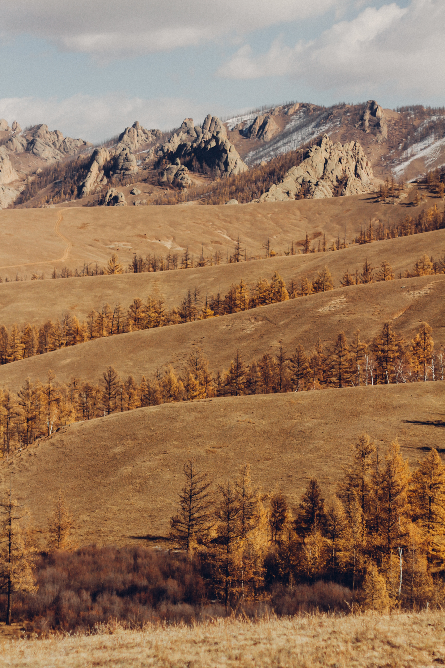 A horse trekking adventure in Terelj National Park, discovering the beauty of Mongolia