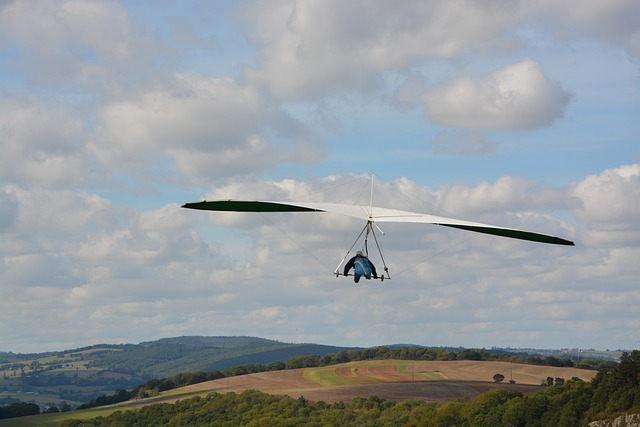 hang gliding, hang gliding or wing deltaest, an aircraft of the free flight