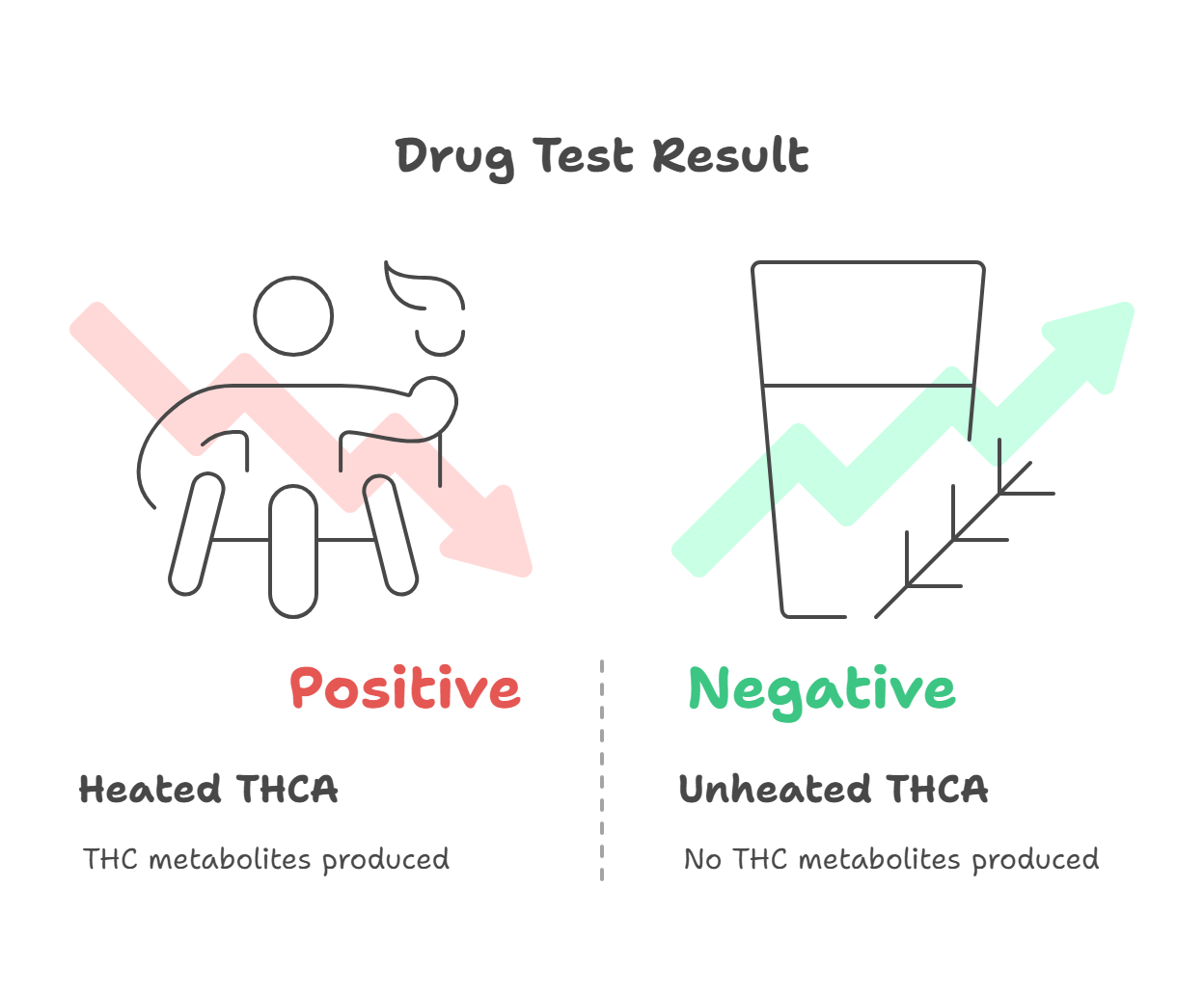 THCA vs. THC: The Detection Difference