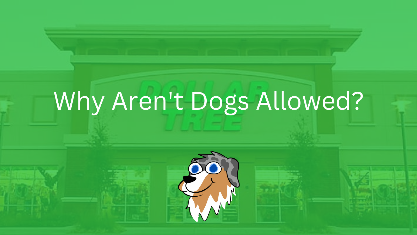 Image Text: "Why Aren't Dogs Allowed?"
