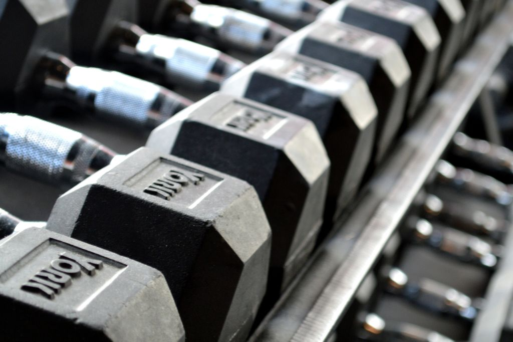Dumbbells only workout for leg day session