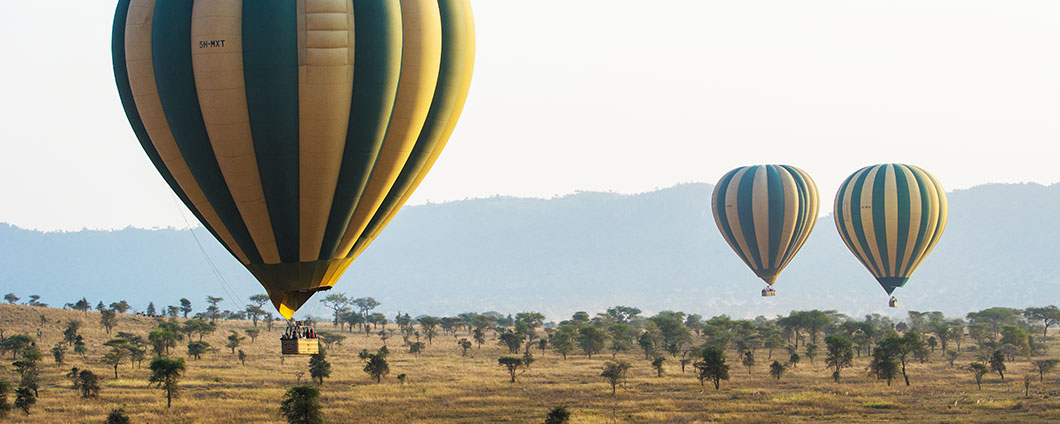 Serengeti Skies: Hot Air Balloon Safari