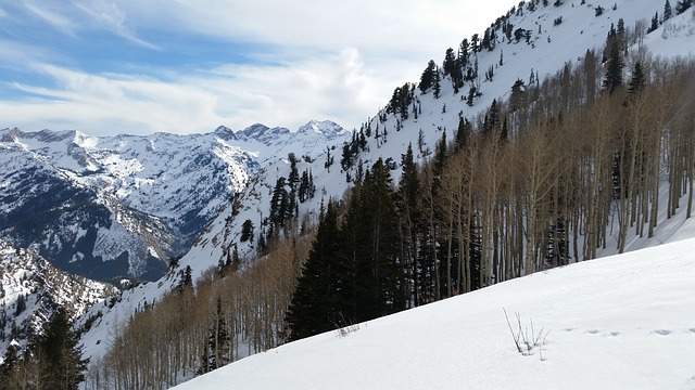 utah, mountain, winter, ski slopes, outdoor activities, Utah's economy