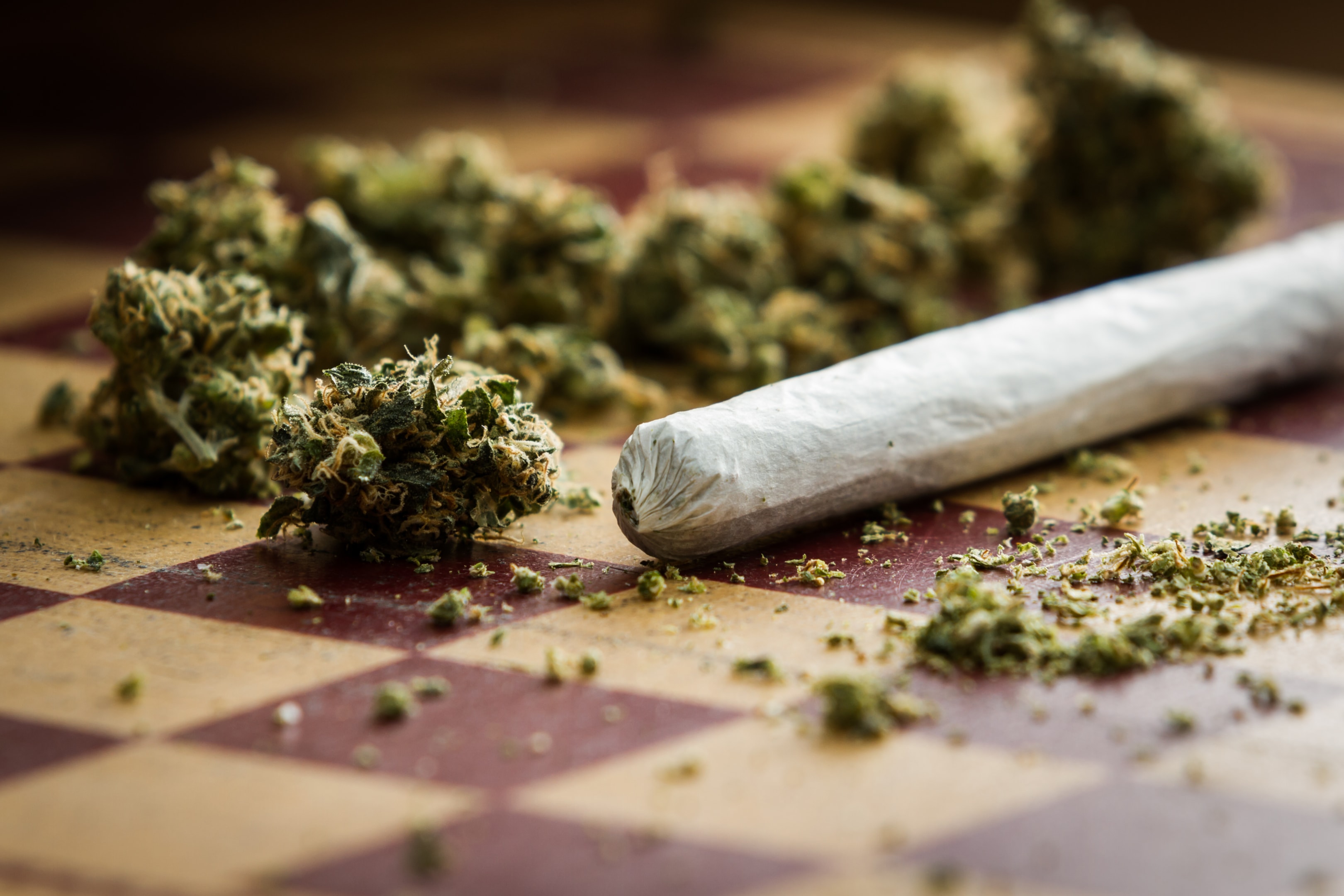 Understanding THCA Flower