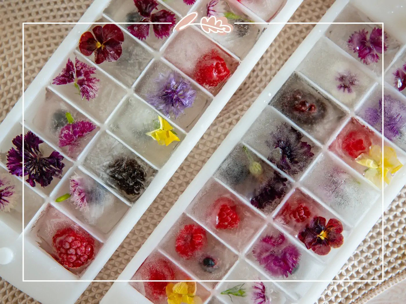 Ice cubes with embedded edible flowers and fruits. Fabulous Flowers and Gifts.