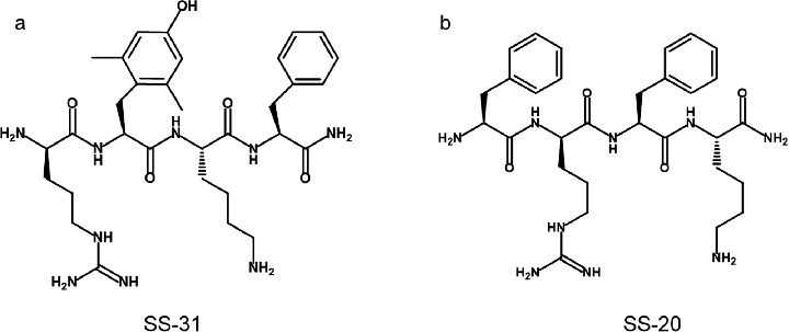 https://www.researchgate.net/figure/Chemical-structures-of-SS-31-and-SS-20_fig1_324554666
