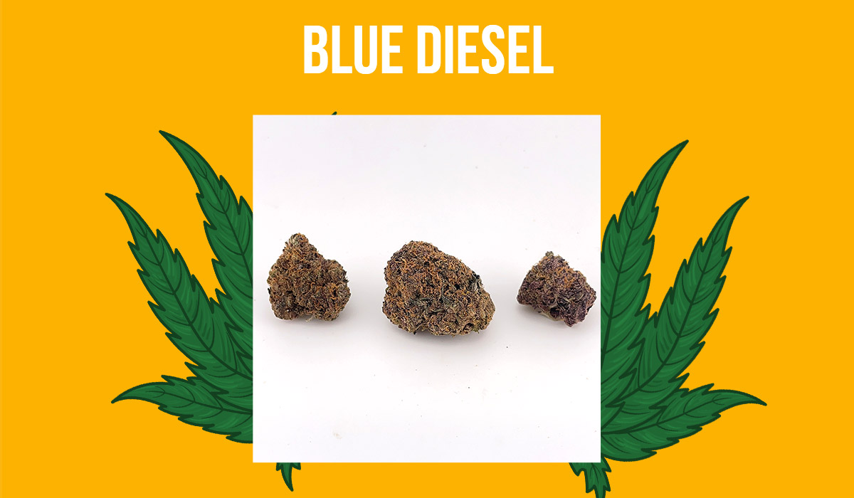 Blue Diesel Weed Strain