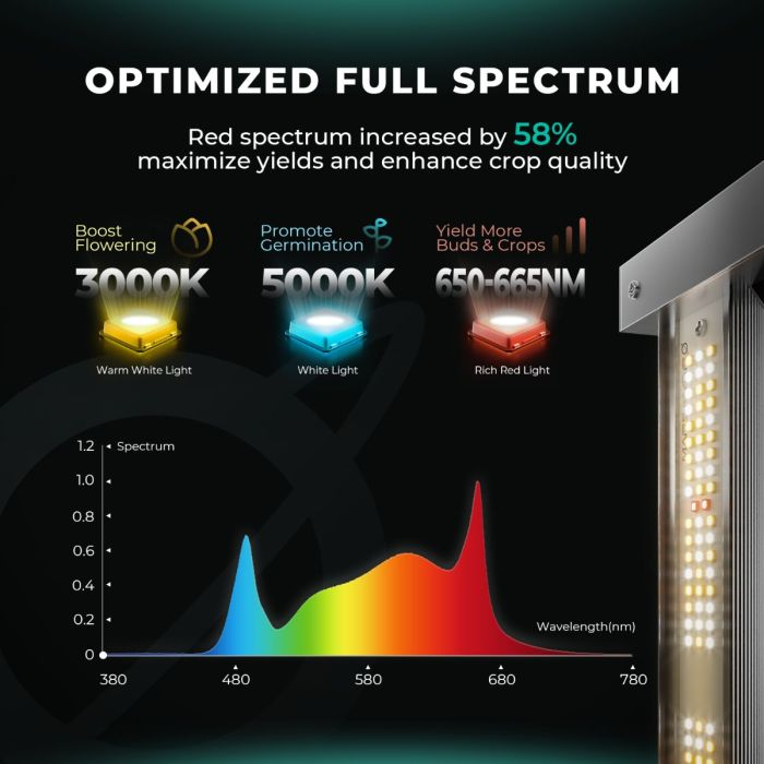 Full Spectrum Grow Light Rich in Red and Blue