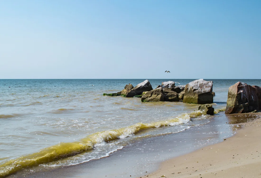 Itämeren rehevöityminen ja happikato on yksi 2000 luvun suurimmista ongelmista. Rehevöityminen johtuu fosforia ja typpeä sisältävistä ravinteiden päästöistä, jotka tulevat maalta mereen ja veteen esimerkiksi jätevesien ja maa-alueiden valumien kautta, jolloin fosforin ja typen määrä kasvaa Itämeressä ja meren pohjan tila kärsii seurauksena.