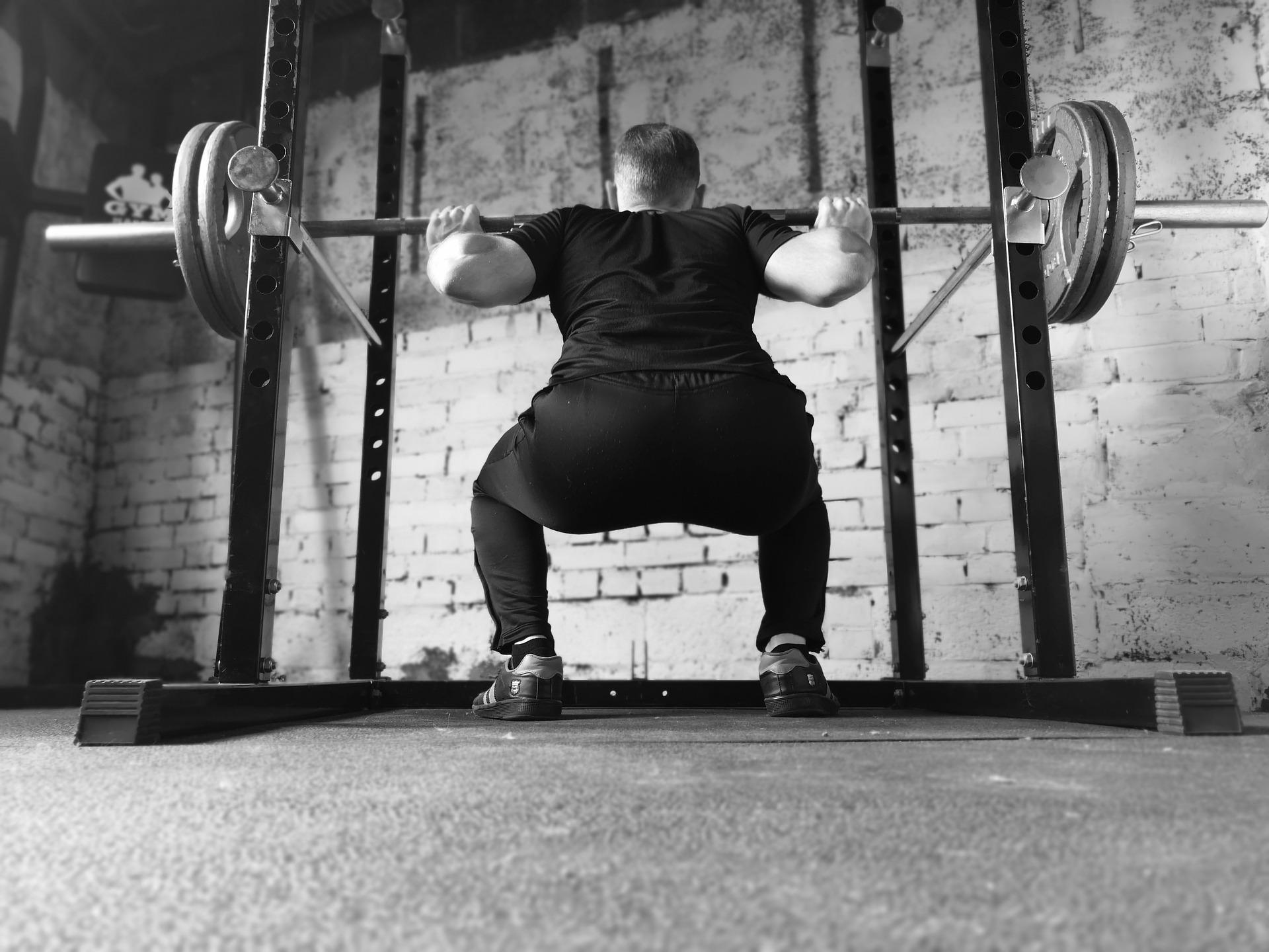 squat stand pull ups 11 gauge steel