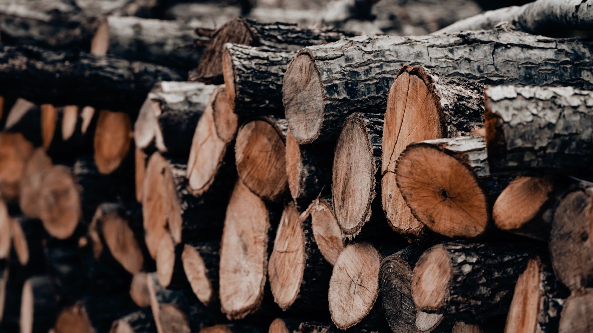 Harvesting begins in your woodlot, with a fresh pile of logs ready for sale. 