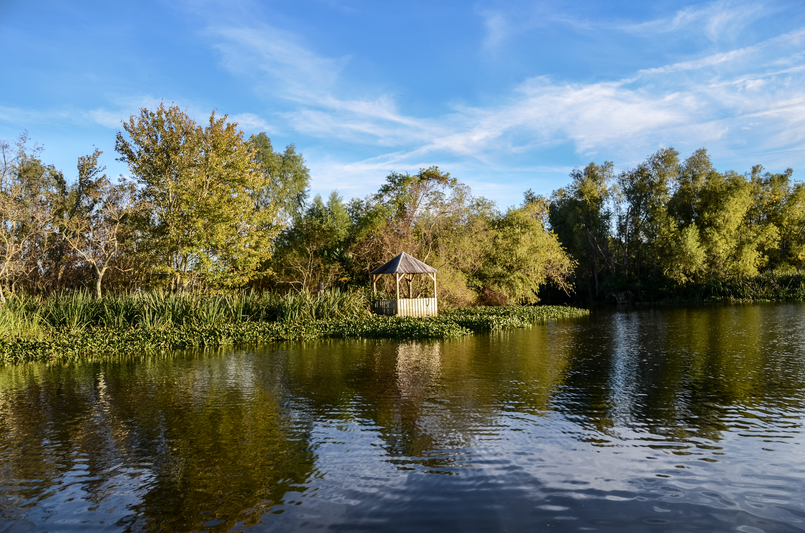 Stunning views of the bayou