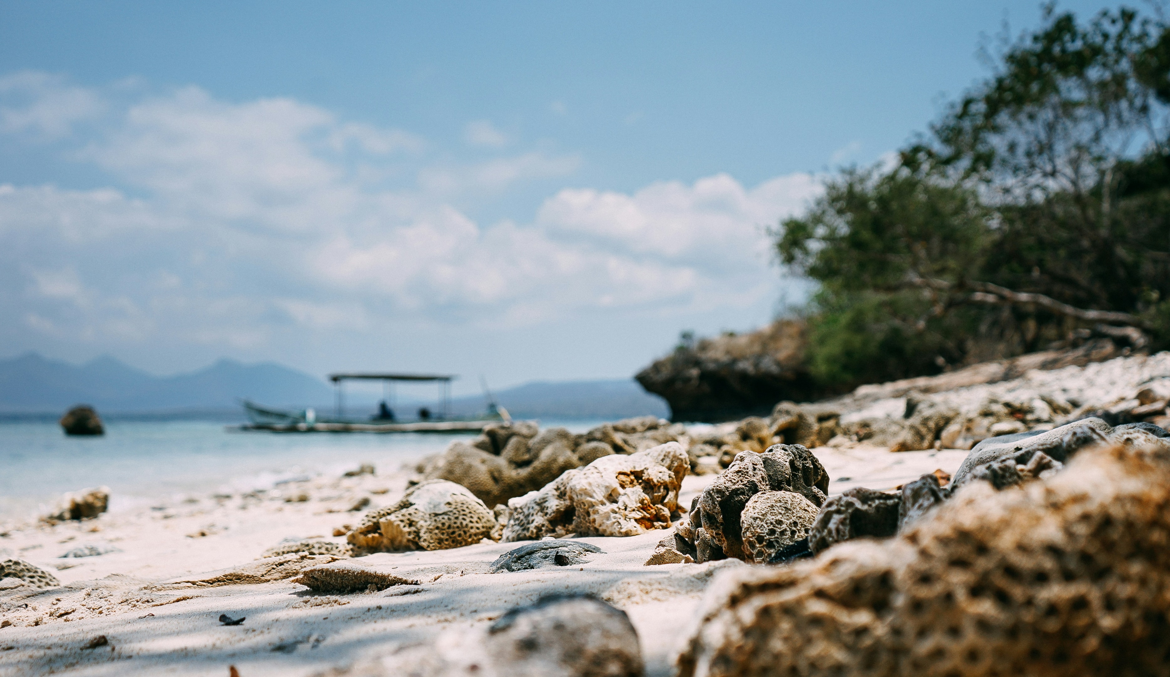 Menjangan island