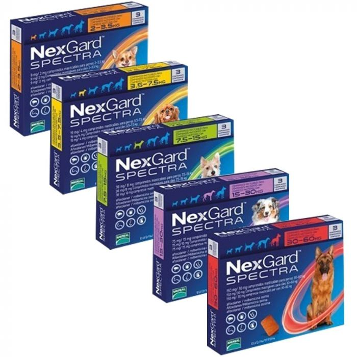 nexgard spectra protects dogs