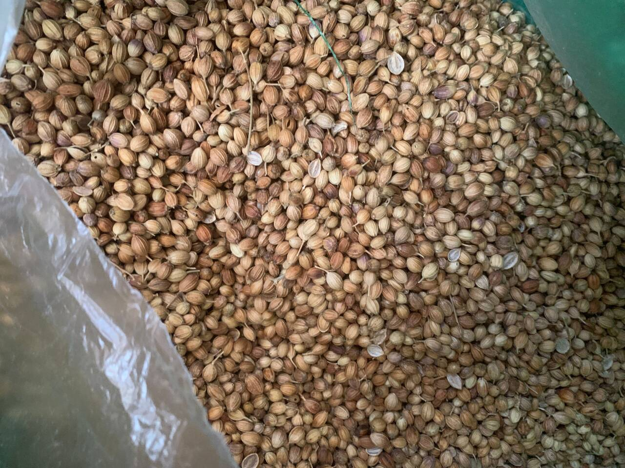 Wide chamber pin mill 