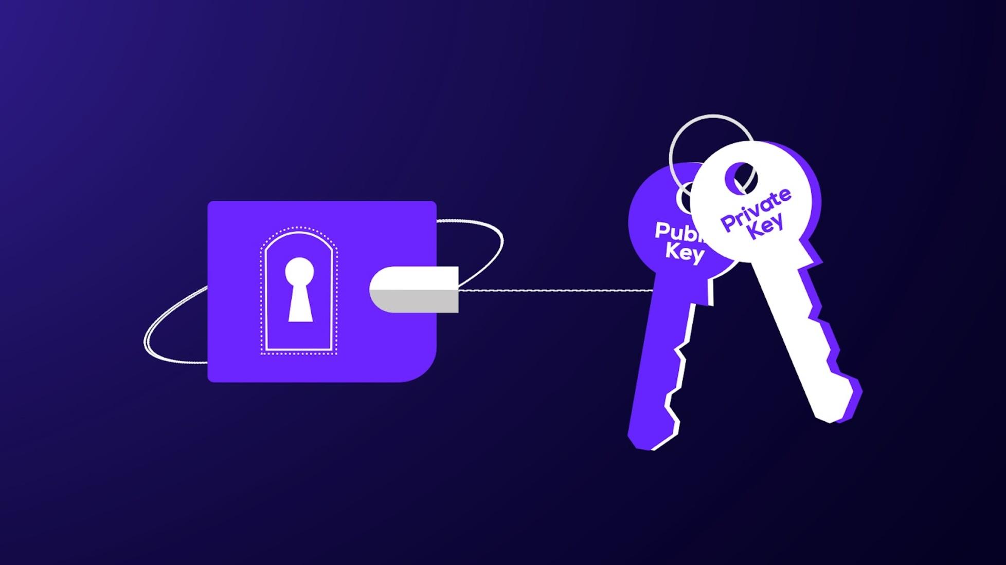 What Is A Private Key How It Keeps Your Crypto Safe NFT Plazas What Is A Private Key How It Keeps Your Crypto Safe NFT Plazas