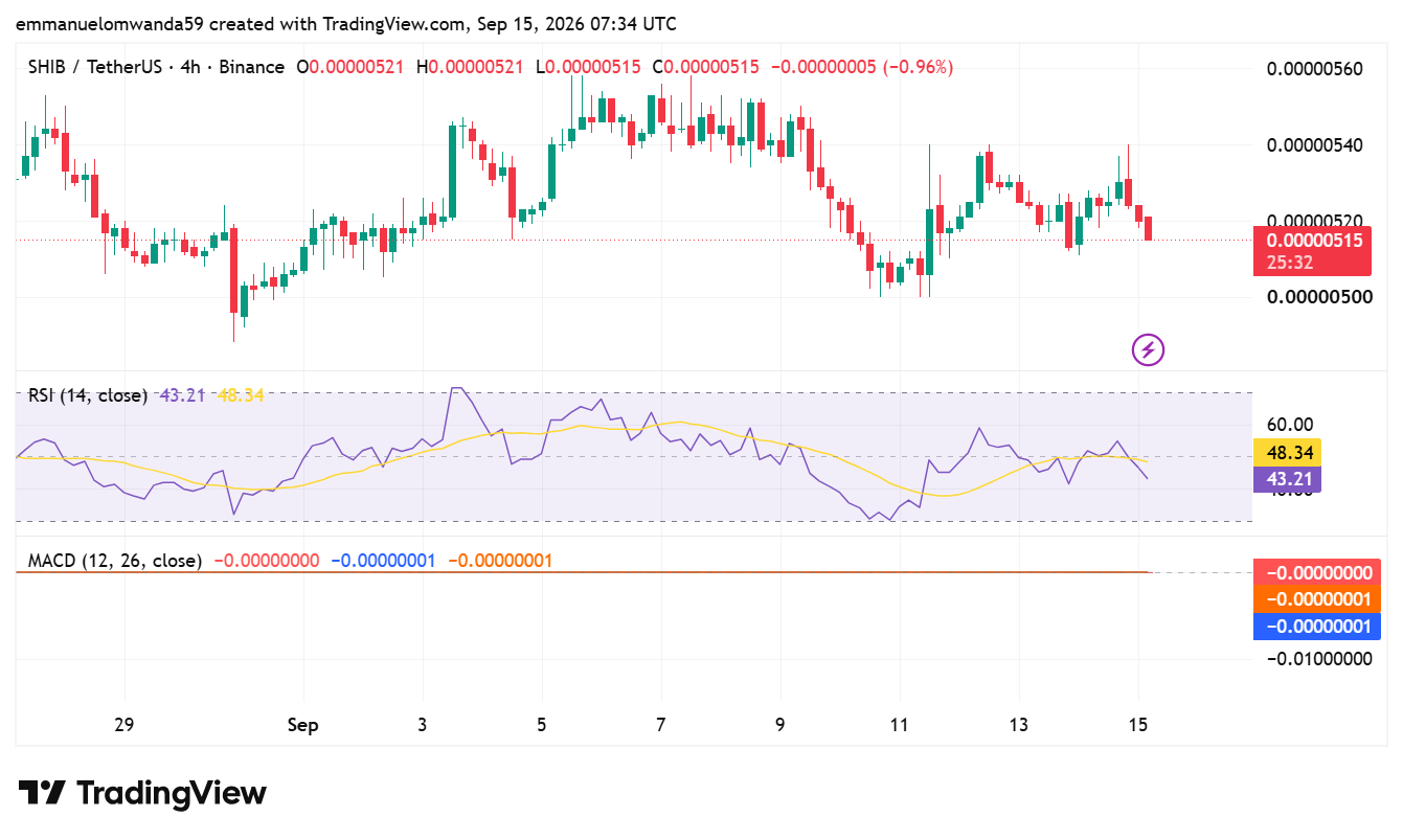 SHIB/USDT Chart: TradingView