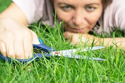 Don't Worry About Seeding We Treat Fertilization and give Vital Solution for Lawn Care