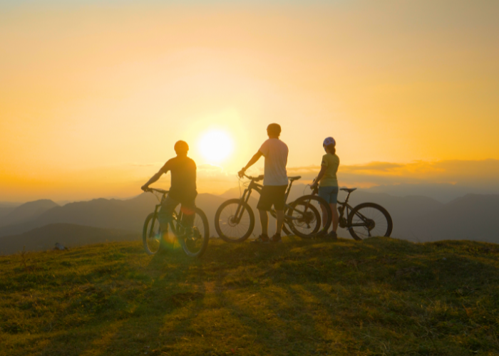 Cross Country Bike