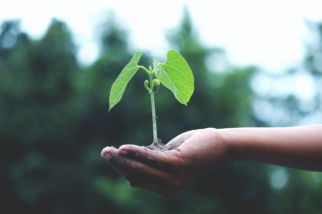 businesses, supplement manufacturing