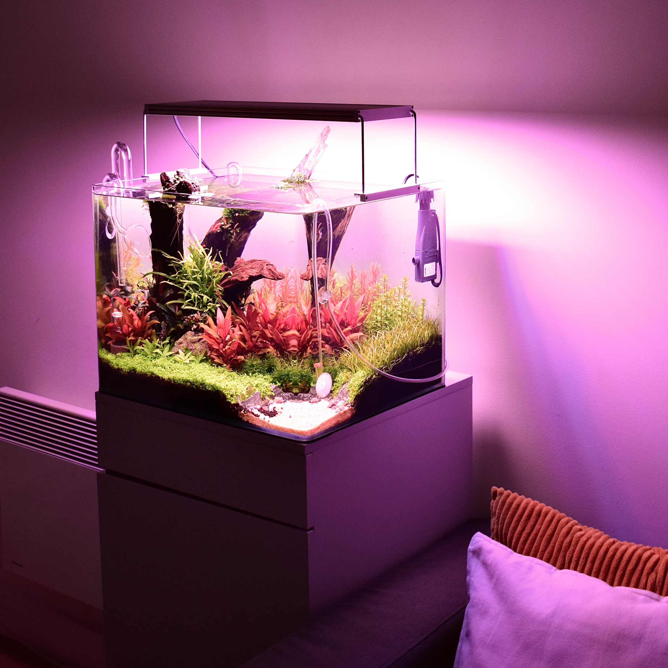 a nano aquarium