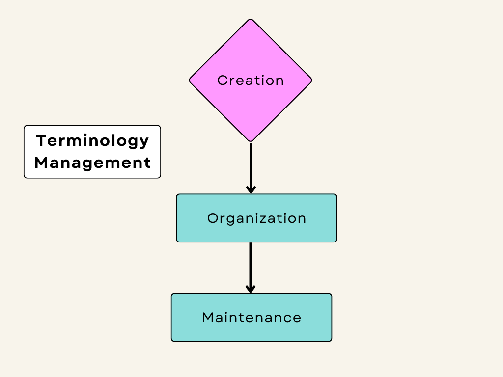 Showing the steps in terminology management (creation, organization, maintenance)