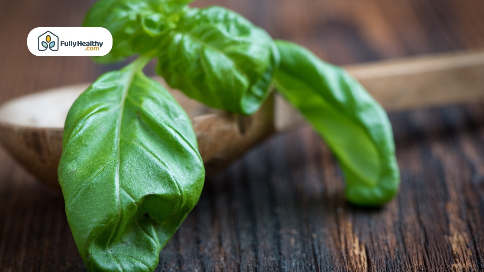 Fresh basil leaf resting on a wooden spoon against a rustic background