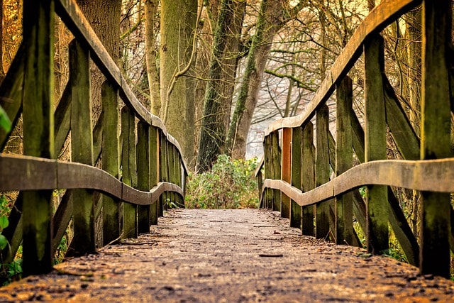 bridging visa b processing time, path, park, wooden bridge, trail, pedestrian bridge, railing, wood, trees, forest, nature, bridge, bridge, bridge, bridge, bridge, path, park, park, wood, forest, forest, forest, nature