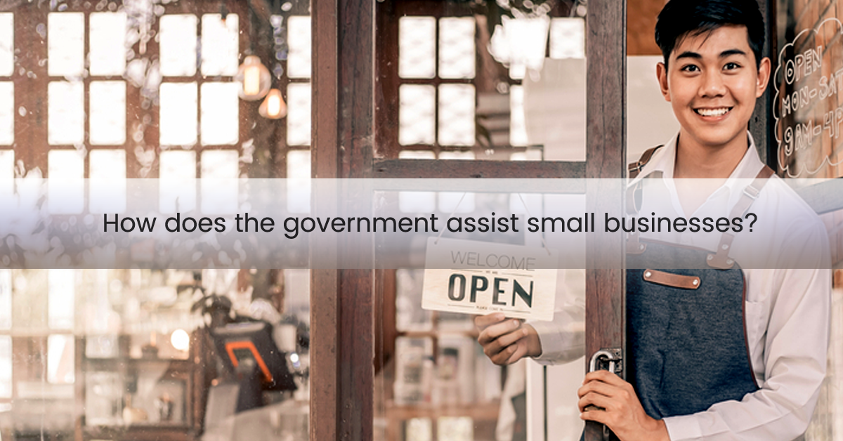 How does the federal government assist small businesses?