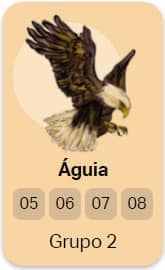 aguia no jogo do bicho