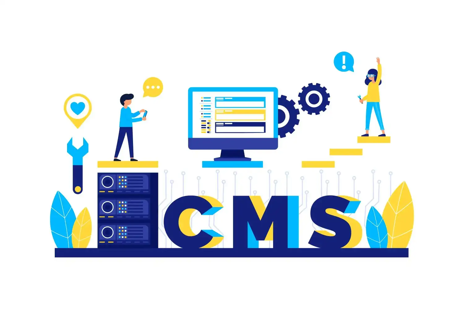 WordPress development services cms