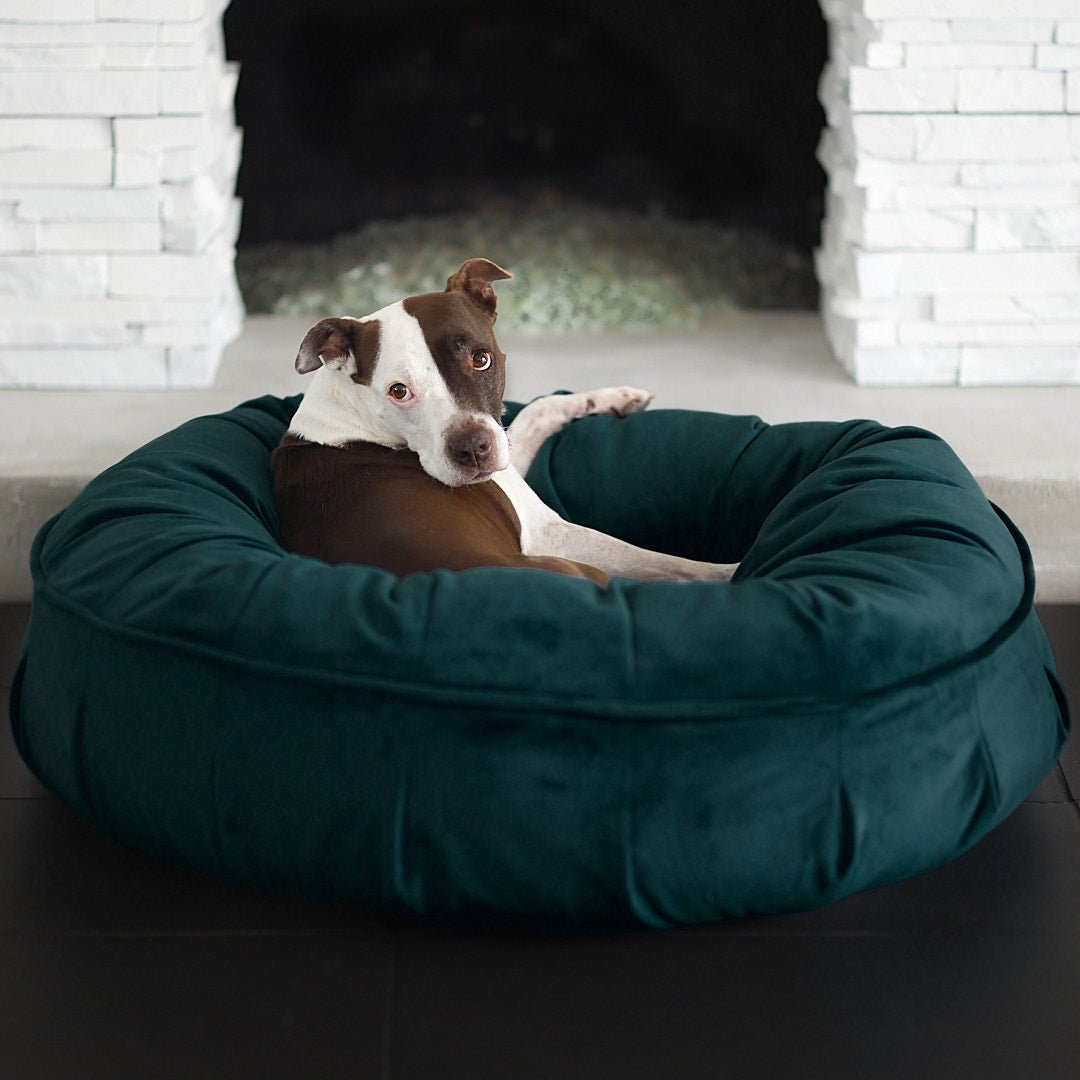 animals matter calming dog bed, the ali jewel emerald teal dog bed with memory foam and a link to purchase.