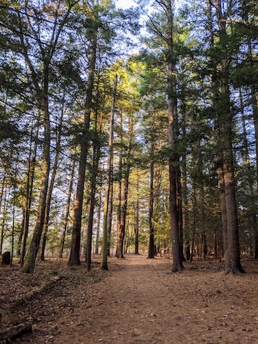 Open year round, you're guaranteed a quiet time exploring White Memorial Conservation Center