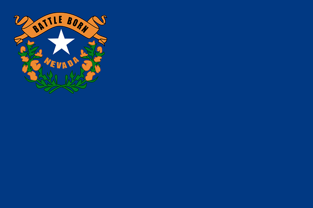 flag, nevada, state, business loans in nevada