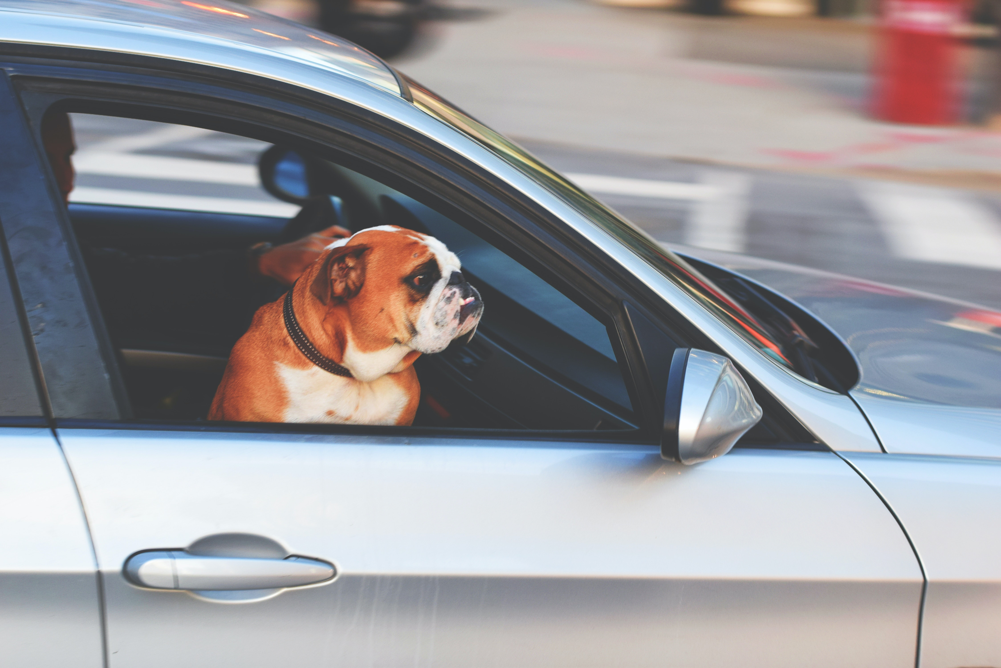 tips to save gas while driving, car fuel saving tips, How can I save the most on fuel?