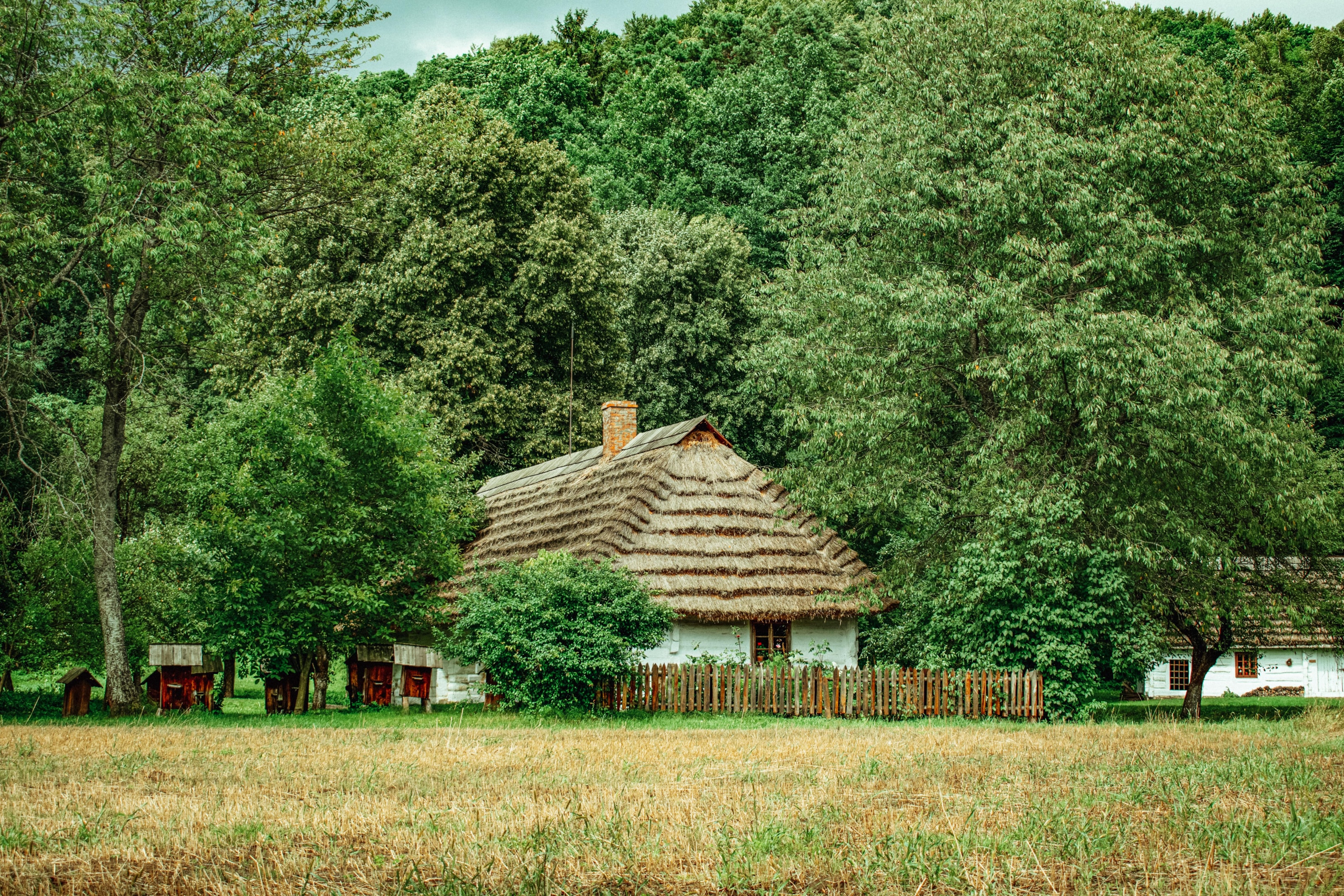 Rekonstrukcja chałupy Bojków/Łemków w Skansenie Budownictwa Ludowego, Sanok.