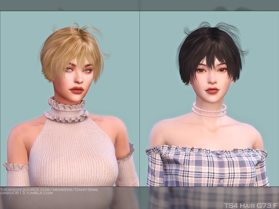 Female Hair G73