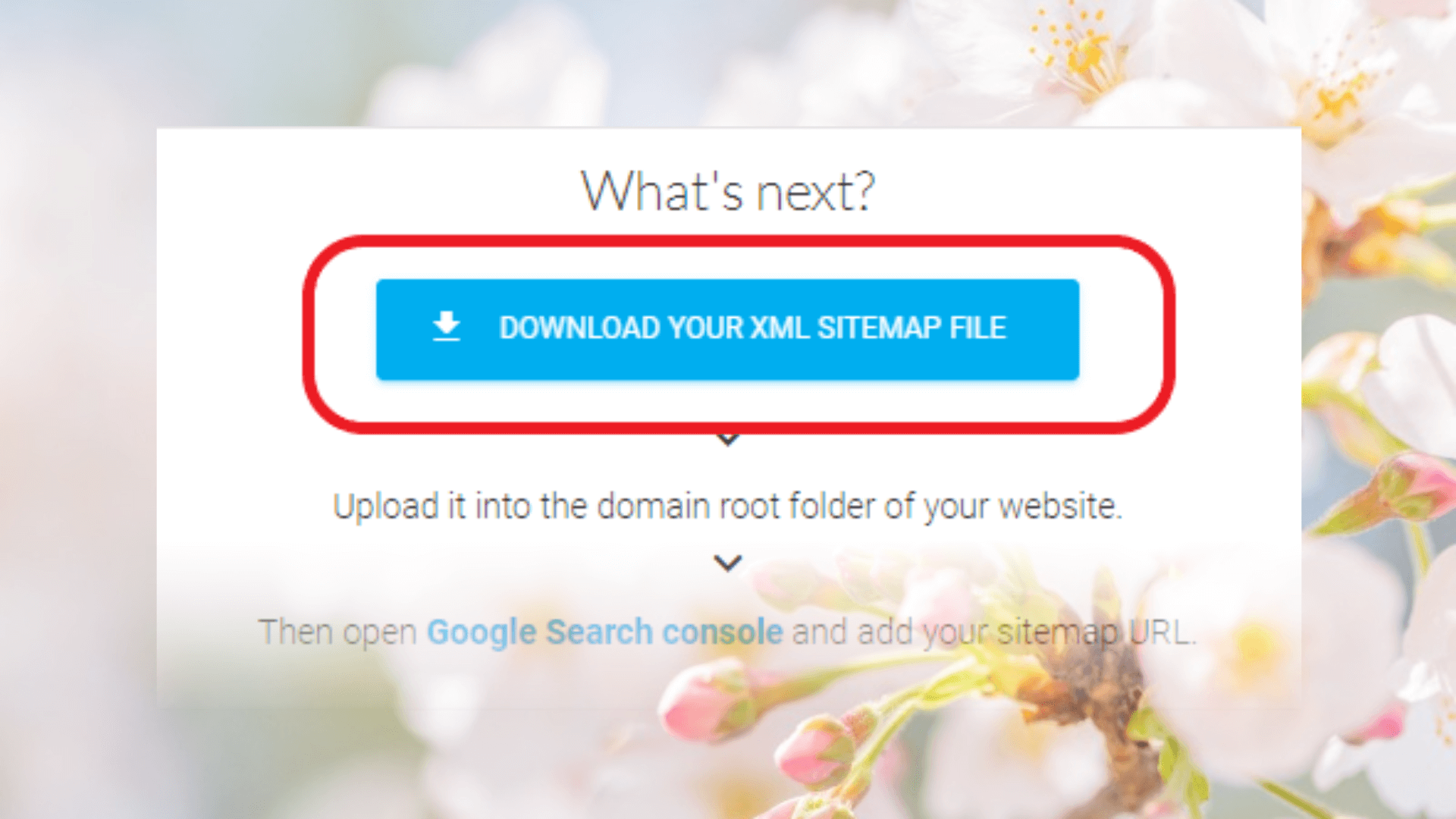 sitemap.xml 다운로드