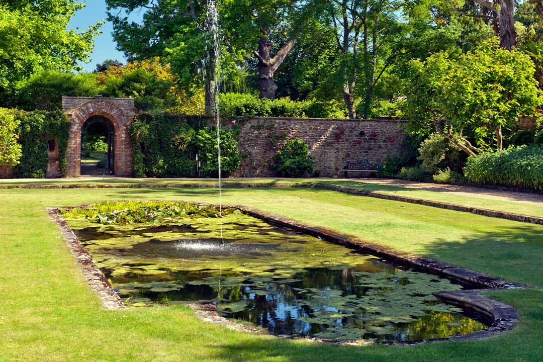 Garden with green lush grass