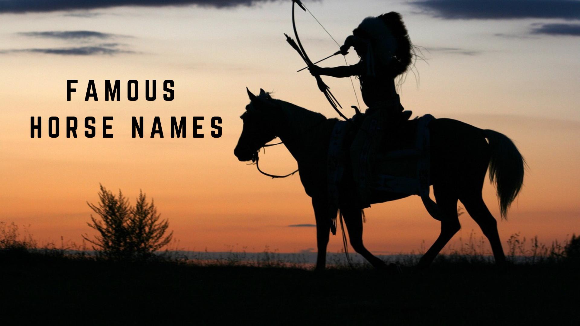 famous horse names throughout American history.