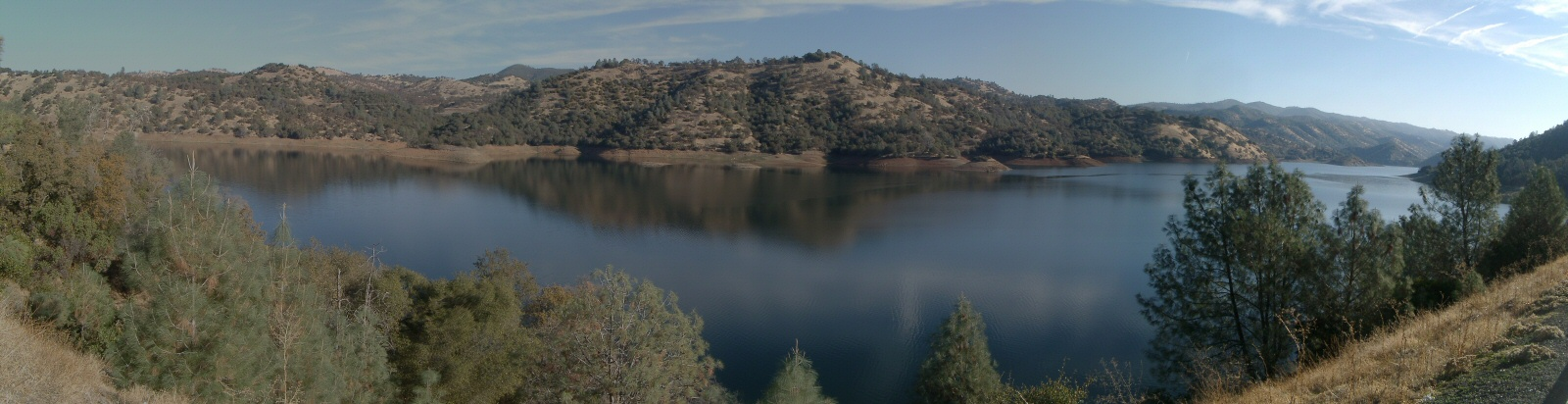 Lake, pine trees 