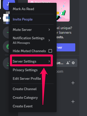 Image showing Server Settings to transfer a server
