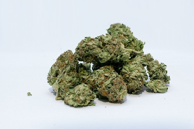 marijuana, cannabis, weed