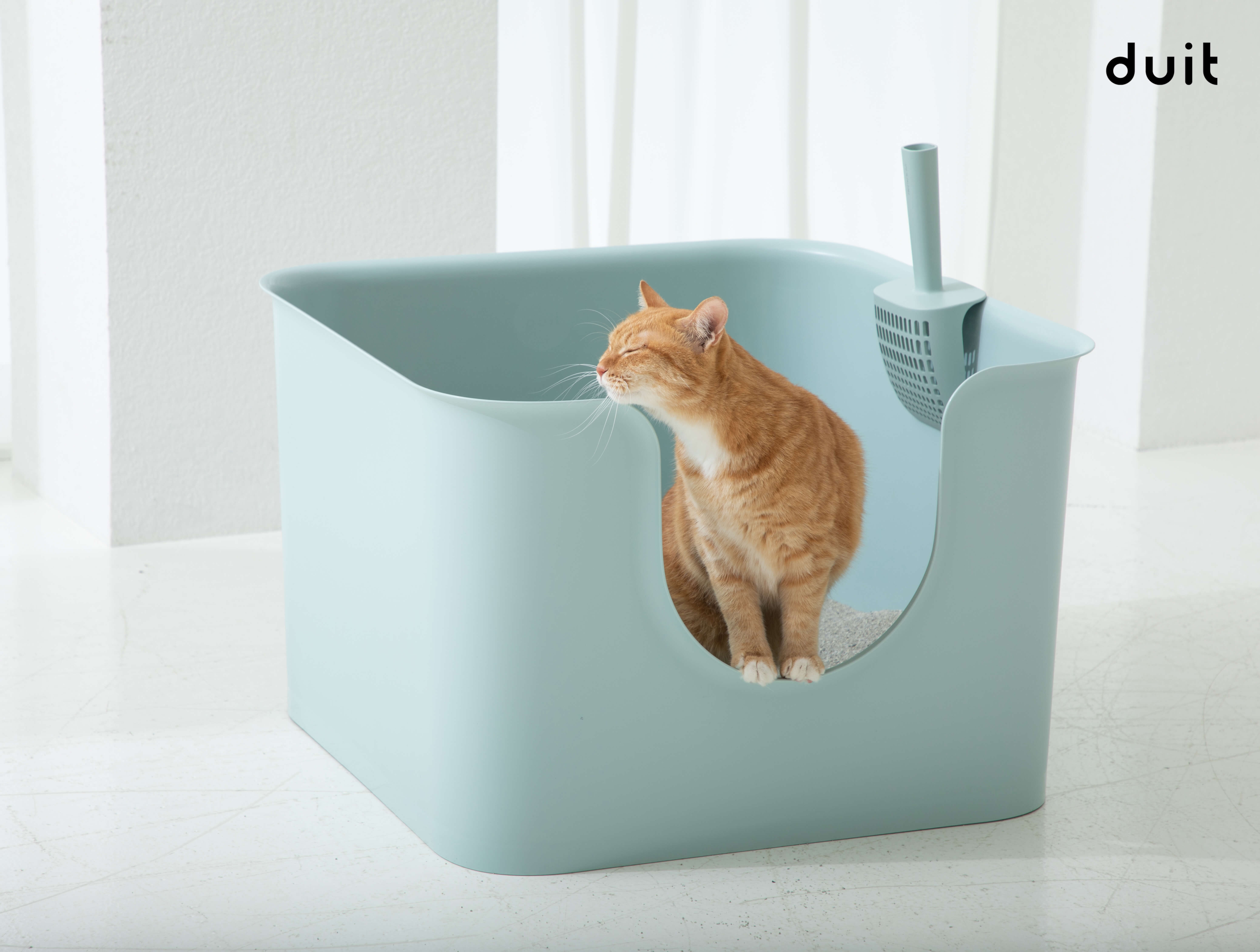 Orange cat in a square-shaped, teal litter box using the corner of the litter box to scratch his head.