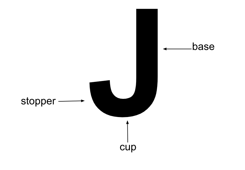 basic anatomy of a J cup